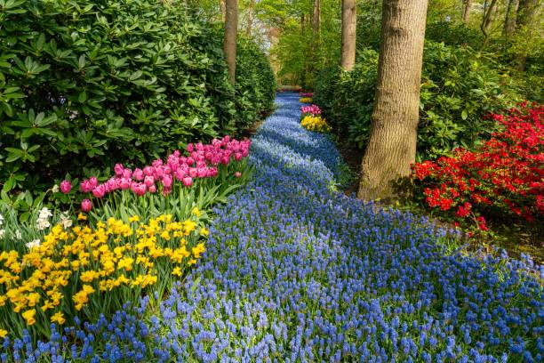 istock Vibrant Garden Path with Colorful Flowers. 2180738357