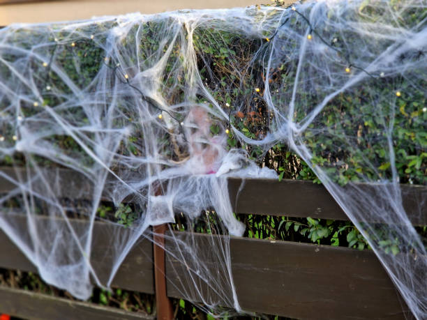 istock artificial cobweb spray will create an imitation of a spider's web. or replacement of snow on the hedge in the street. heloween decoration equipment 2180743043