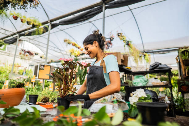 istock Young florist preparing a flower pot at a garden center 2180743367