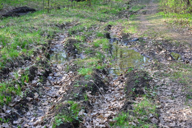 istock a muddy path with a puddle of water in the middle 2180746543