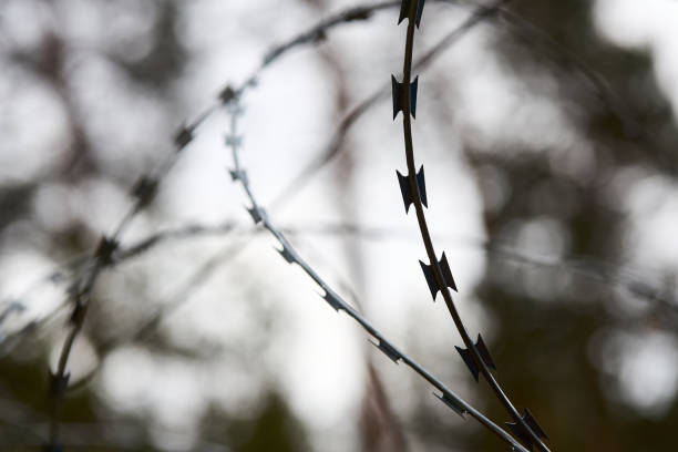 istock Razor barbed wire security fence. Sharp round barbed wire silhouette shadow over border forest background. Selective focus shot. 2180750646