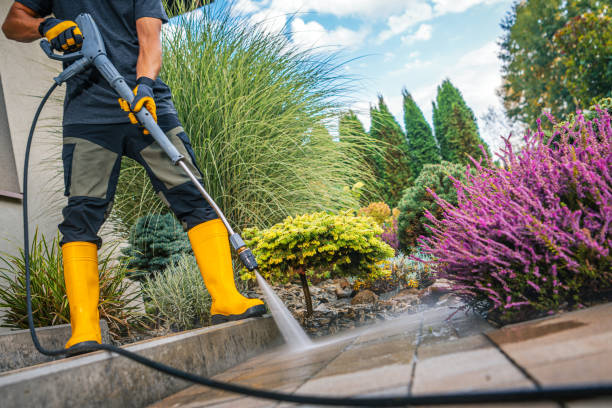 istock Person Using a Pressure Washer to Clean a Garden Path Surrounded by Vibrant Shrubs and Plants 2180756503