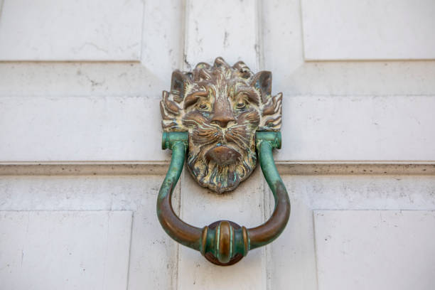 Close up of silver lion head door knocker on black door
