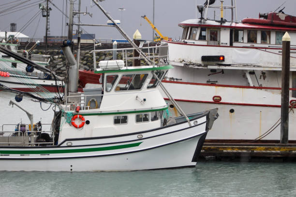 Fishing and research vessels in a harbor in Seward, Alaska