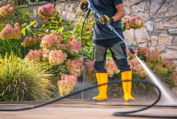 istock Person Using a Pressure Washer on a Patio Surrounded by Blooming Flowers During Daytime 2180759854