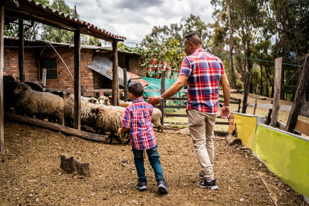 istock Father and son walking on the farm 2180761299