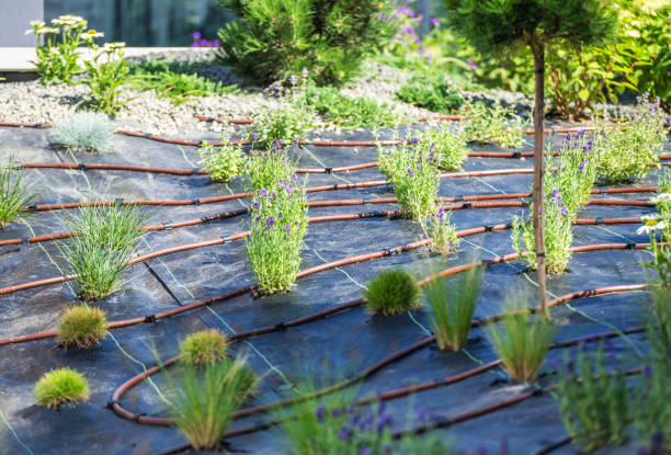 istock Smart Irrigation System for Sustainable Gardens Using Drip Lines in a Lush Green Landscape 2180761812