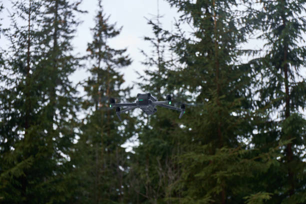 istock A drone captures aerial views among dense evergreen trees on a cloudy day in the forest. Carpathian Mountains, Ukraine 2180769685