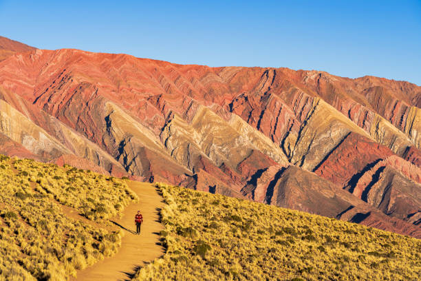 Solo hiker walks the path surrounded by rocky formation of colorful mountains at Serrania de Hornocal, Quebrada de Humahuaca, UNESCO world heritage site, Jujuy, Argentina