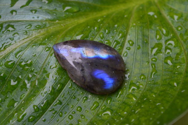istock Labradorite mineral on green background 2180777995