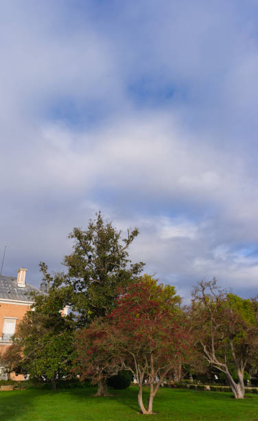 istock view, park, landscape, nature, tree, plants, autumn, morning, flora, botany, 2180784905