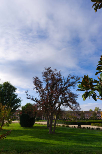 istock view, park, landscape, nature, tree, plants, autumn, morning, flora, botany, 2180784946