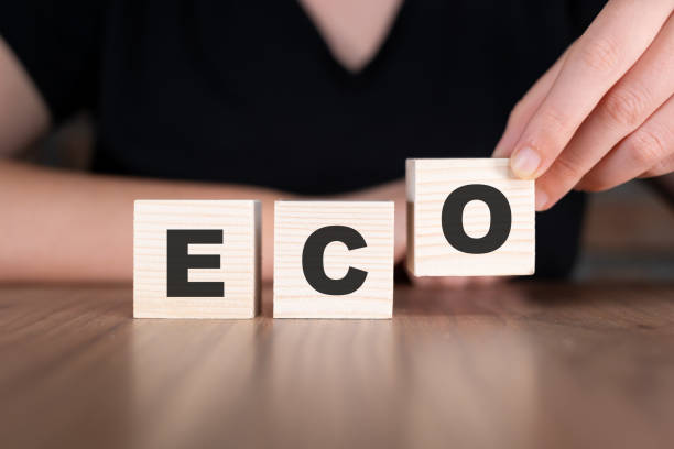 istock ECO word with wooden blocks on table 2180784954