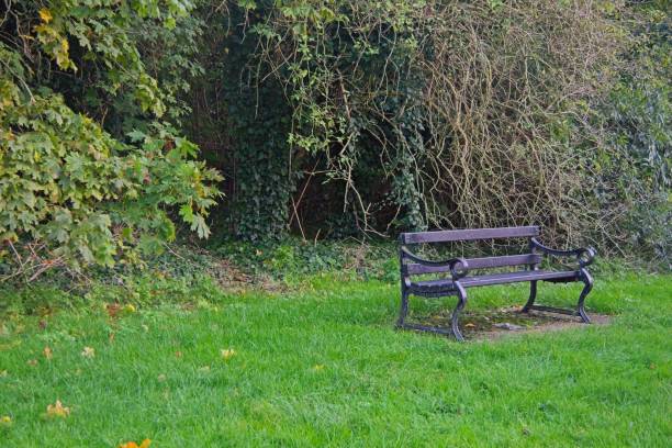 istock Empty Black Metal Park bench with Bushes in the background 2180788352