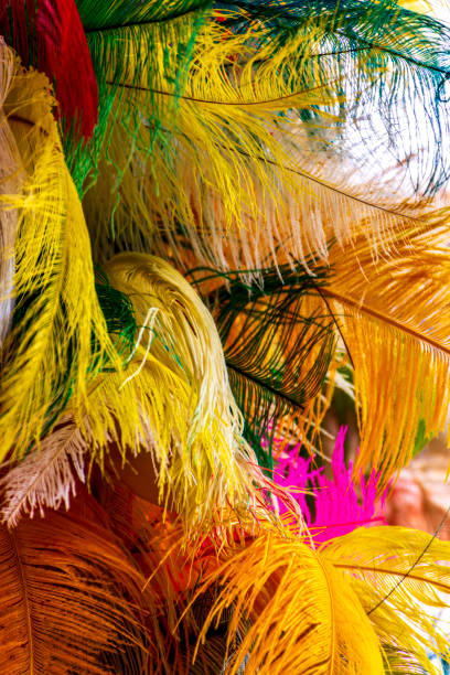 istock Feathers used in carnival costumes in Brazil 2180798227