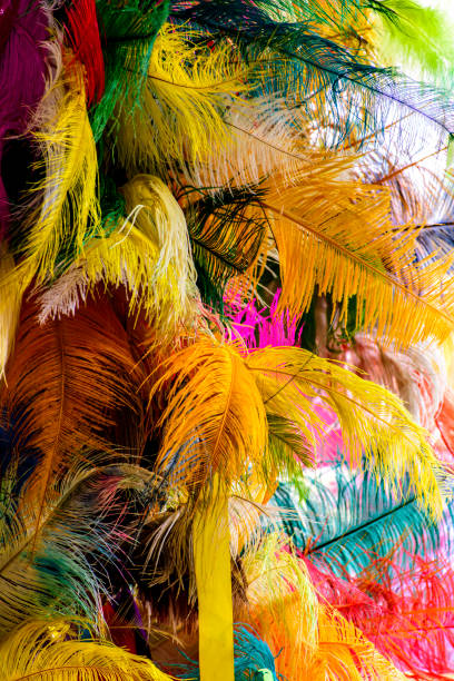 istock Various colorful feathers and plumes 2180798267