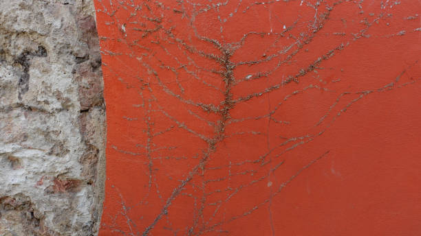 A textured wall displays an intricate pattern created by dried vines against a striking orange backdrop, showcasing an interesting blend of nature and urban design.