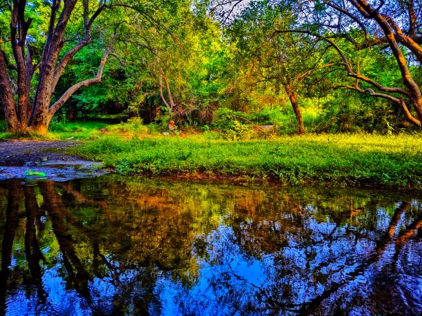 Beauty of nature with reflection in water