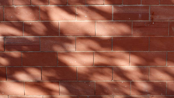 istock Shadows Cast on a Textured Brick Wall During a Sunny Afternoon 2180805249