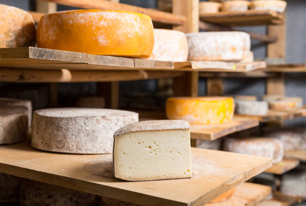Cheese heads on wooden shelves in Amsterdam shop, Netherlands