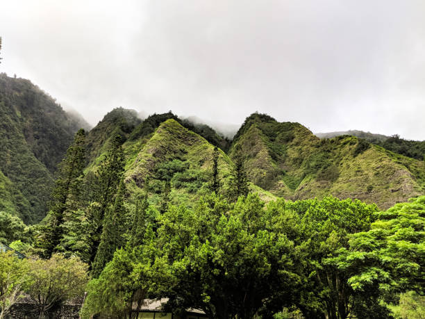 Rainforest landscape iao Valley maui Hawaii