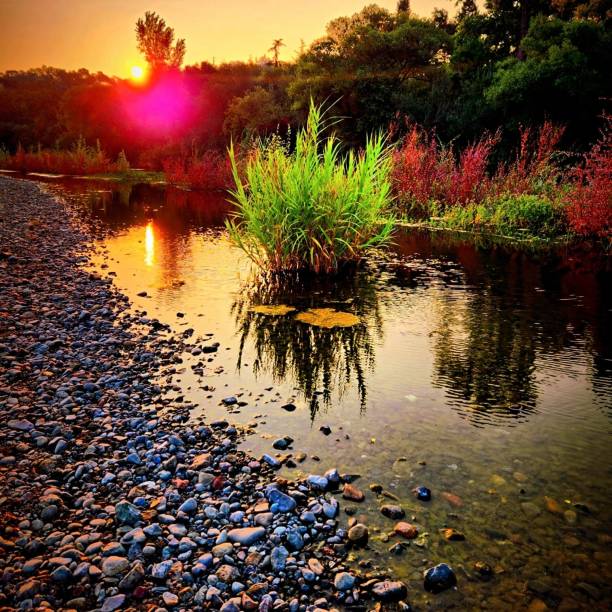 Atmospheric and spectacular Dawn lighting on Russian River, Healdsburg, Sonoma County, California