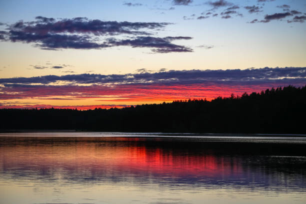Natural background. Beautiful sunset reflecting in a forest lake.