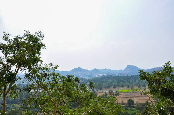 istock Beautiful view of rice fields and trees in India 2180823027