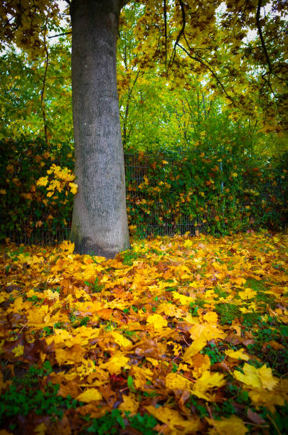 Photo taken in Bad Ragaz, Switzerland