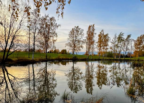 kuvapankkikuvat ja rojaltivapaat kuvat aiheesta syksyiset puut heittävät ahdistavan heijastuksen rauhallisen lammen yli ja vangitsevat luonnon aavemaisen kauneuden - lokakuu suomi