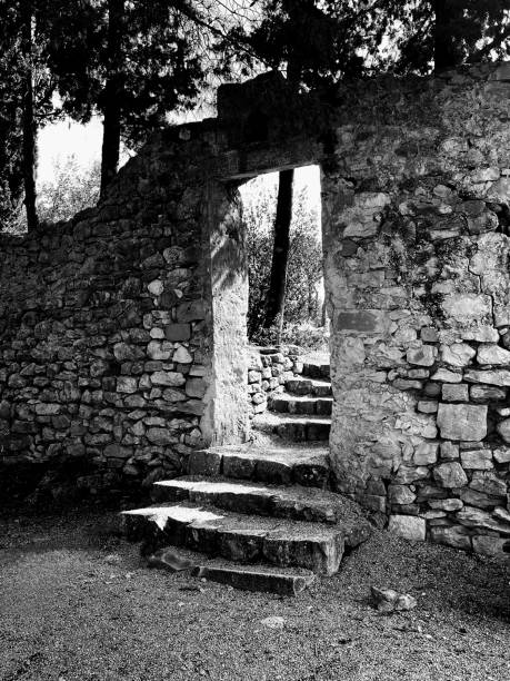 A stone archway leading to shadowy stairs framed by trees creates a haunting passageway perfect for a Halloween scene