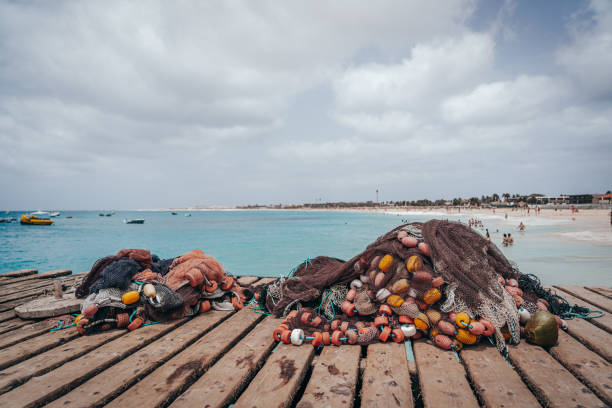Fishing Nets on Pier with Ocean and Beach in the background on a cloudy day