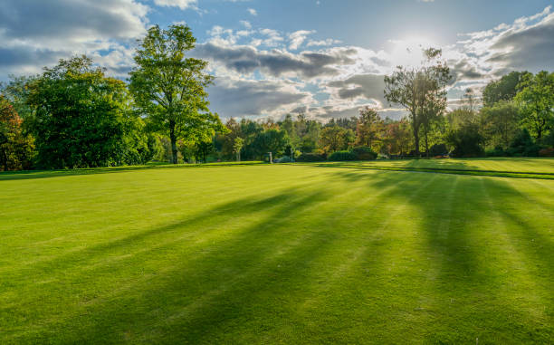 Alexandra Park Oldham full of nature