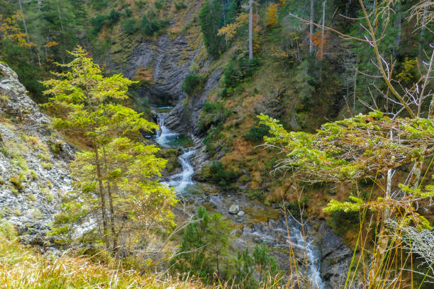 istock Rocky Shore of River Valepp Germany 2180843669
