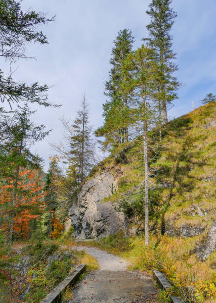 istock Hiking Trail through rocky Landscape 2180843700