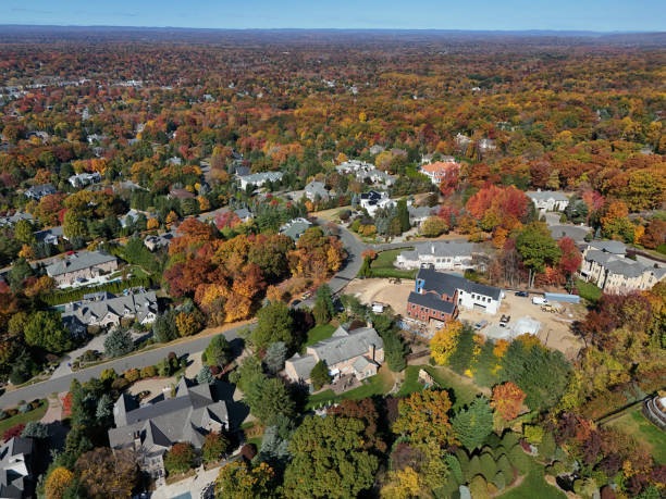 istock Mansions in a very rich suburb in autumn 2180844484