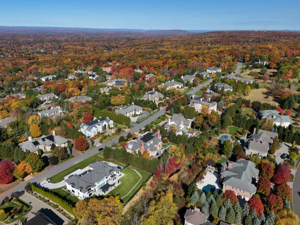 istock Mansions in a rich suburb in autumn 2180844485