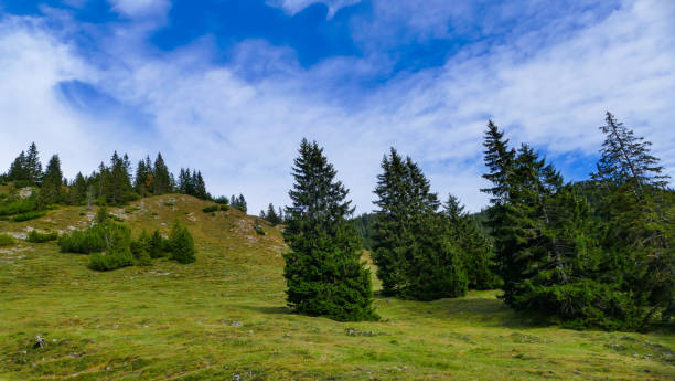 istock Green landscape on Mountain Rotwand Bavaria 2180844588