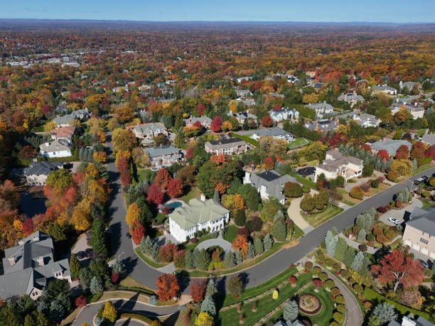 istock Mansions in affluent wooded suburb in autumn 2180844591
