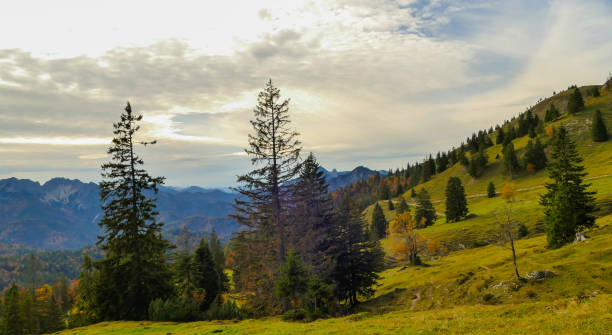 istock Idyllic landscape on Hiking Path to Mountain Rotwand Germany 2180844604