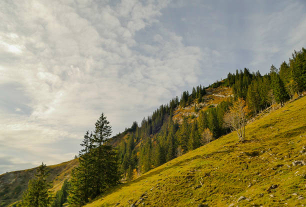 istock View to Peak of Mountain Rotwand Germany 2180844656