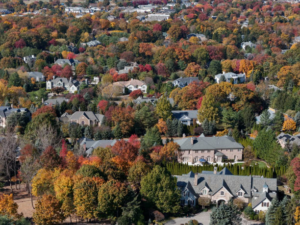 istock Mansions in affluent wooded suburbia in autumn 2180844704