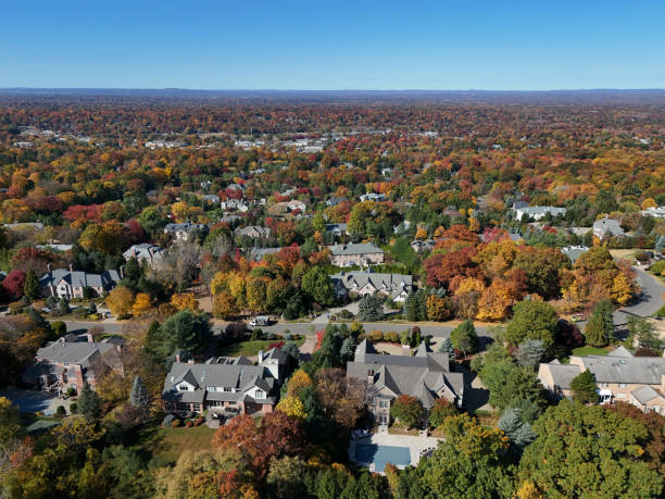 istock Mansions in rich suburbia in autumn 2180844719