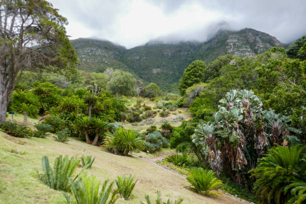Western Cape Province is the fourth largest of nine provinces in South Africa. The two largest cities are Capetown and George.