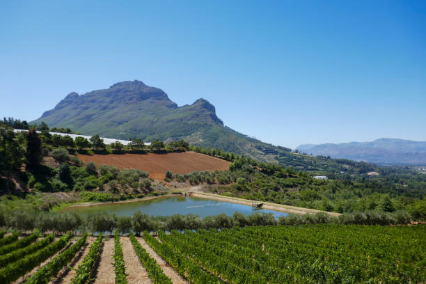 istock Western Cape Province, South Africa 2180852811