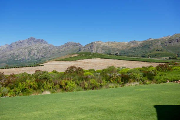 Apple orchards in the Langkloof in South Africa slowly turning into autumn colors