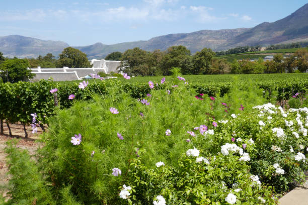 Horizontal view of an historic house in Graaff-Reinet