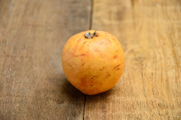 istock guava fruit from the backyard farm 2180856157