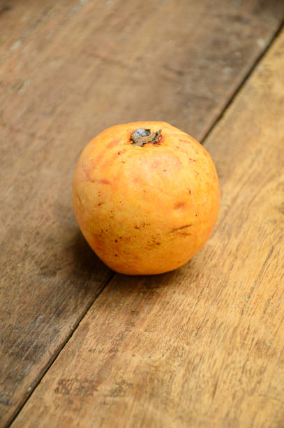 istock guava fruit from the backyard farm 2180856165