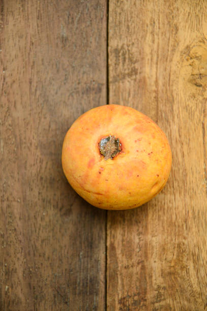 istock guava fruit from the backyard farm 2180856181